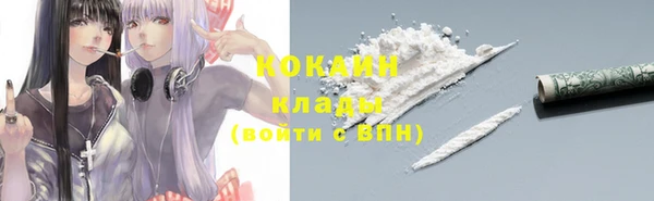 трава Аркадак