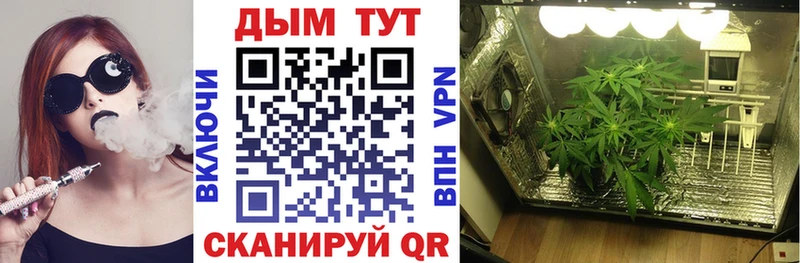 Бошки марихуана конопля  продажа наркотиков  Кремёнки 